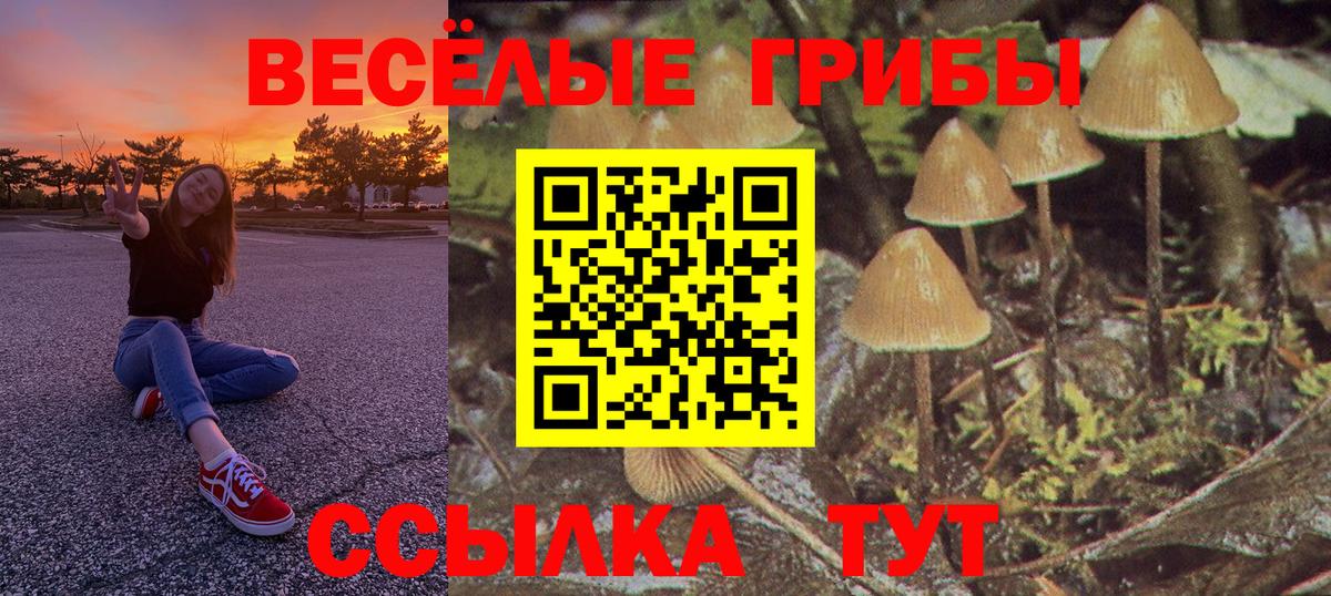 Псилоцибиновые грибы прущие грибы Обнинск