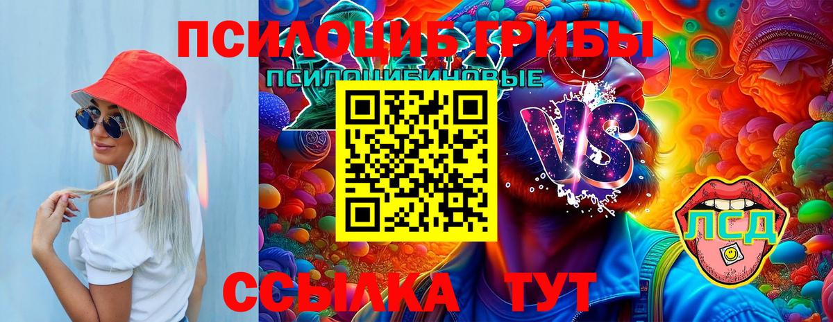 Галлюциногенные грибы Psilocybe  Вход с VPN  Обнинск 